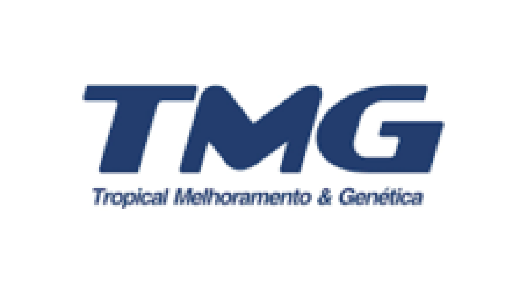 Cliente TMG - Refrigeração Virgílio - Climatização de Ambientes